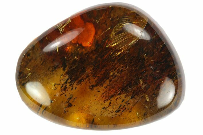Polished Chiapas Amber ( g) - Mexico #114802